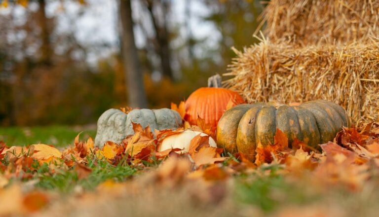 Community Fall Festival